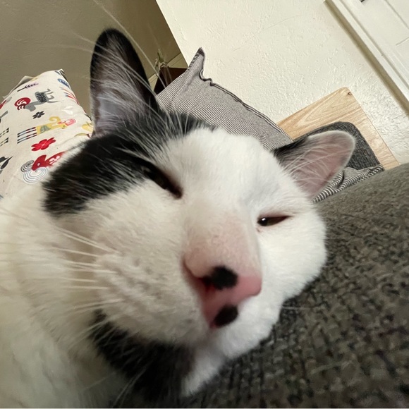abaconpancake